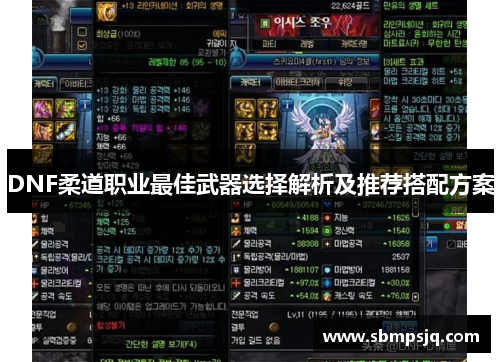 DNF柔道职业最佳武器选择解析及推荐搭配方案